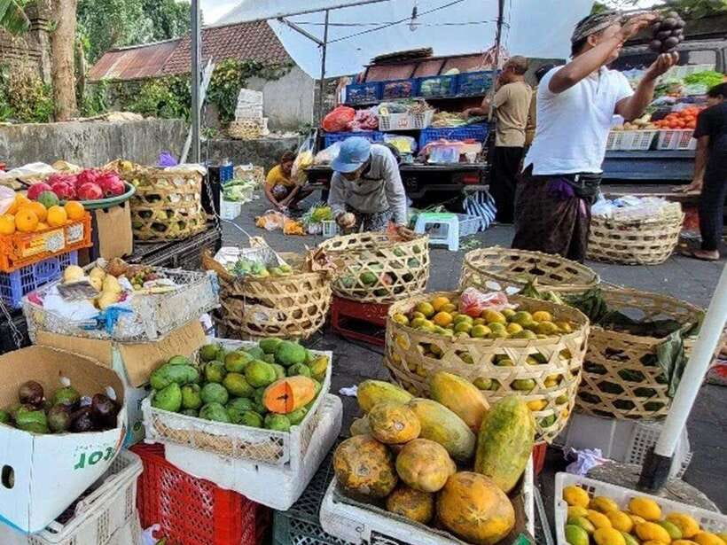 Balinese cooking class/Go shopping at the market, cook, eat - Cooking on the patio with plenty of participation