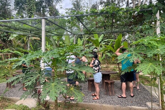 Balinese Cooking Class with Traditional Market Tour - Lunch tastes better when you made every dish
