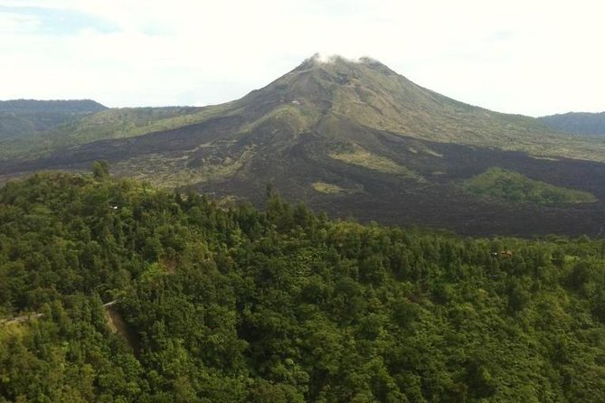 Balinese Life Style Tour - Tegalalang Rice Terrace: Bali’s farming story