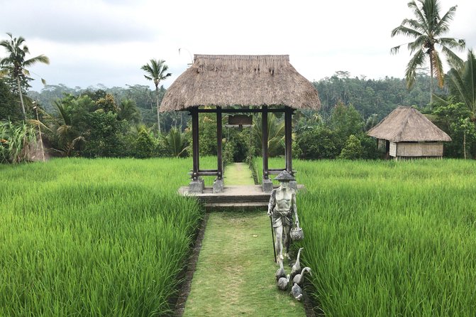 Balinese Life Style Tour - What the private car changes