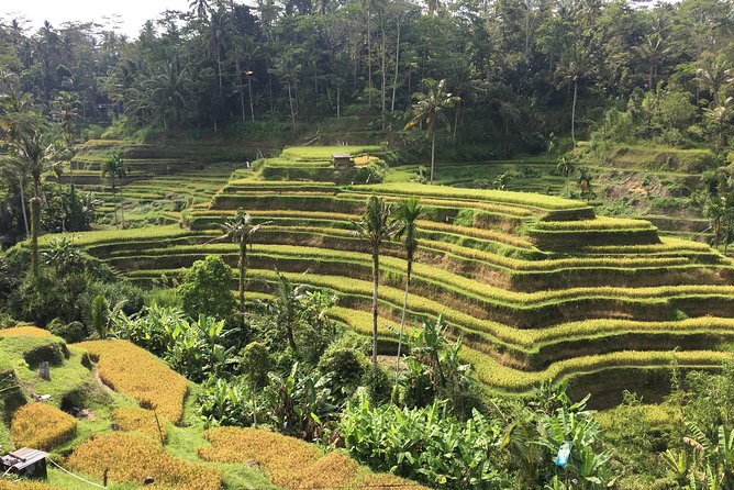 Balinese Life Style Tour - Who should choose this Bali culture tour?