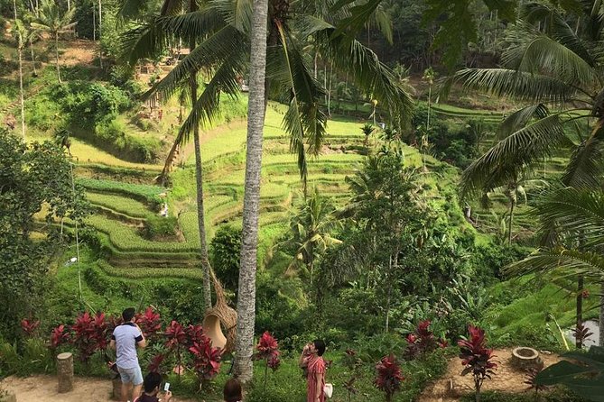Balinese Life Style Tour - My booking advice