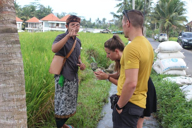 Balinese Ubud cooking school (9 Dish Cooking and Market Tour) - What the food is like