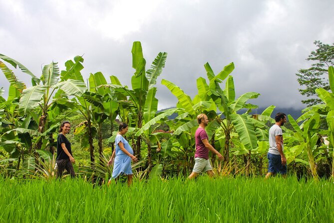 Balinese Vegan Cooking Class with Fresh Harvesting & Garden Tour - Harvesting produce before the lesson