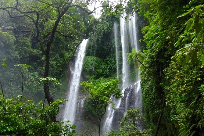 Banyuwana & Banyumala Waterfalls Tour Private - All-Inclusive - The Sekumpul question and what the route actually covers