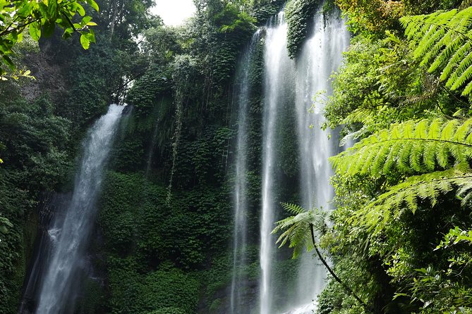 Banyuwana & Banyumala Waterfalls Tour Private - All-Inclusive - Banyumala Twin Waterfalls: the gentler first look