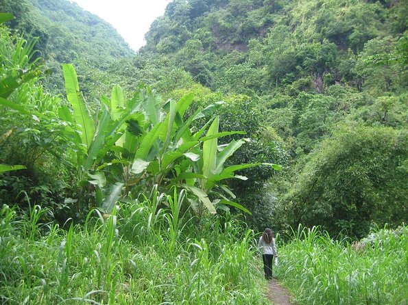 Batur Caldera Sunrise Trekking - Key points to know before booking