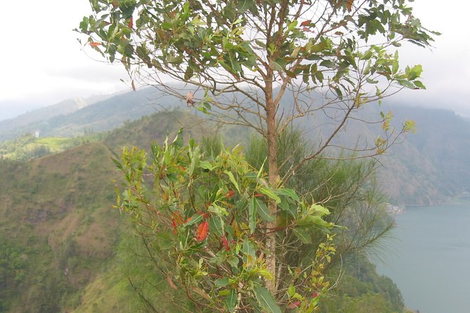 Batur Caldera Sunrise Trekking - Who should book this sunrise trek?