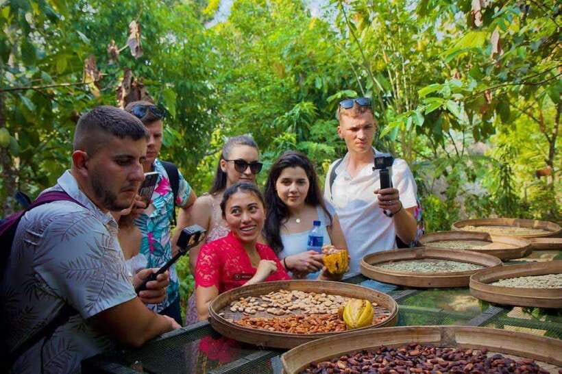 Batur Volcano Jeep Tour & Explore Best Waterfall in Bali - Coffee, agriculture, and a traditional Balinese house