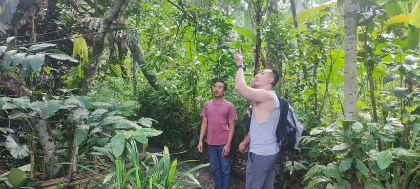 Batur Volcano Jeep Tour & Explore Best Waterfall in Bali - Choosing between a normal start and sunrise