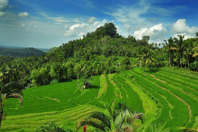 Besakih Temple Tour - Mother Temple in Bali - Who should book this Besakih tour?