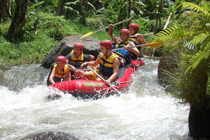 Best Bali Ayung River Rafting with Lunch - Who will enjoy this river adventure