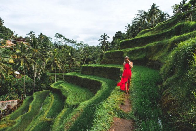 Best Day Trip in Bali - Monkey Forest: Macaques Among Temples