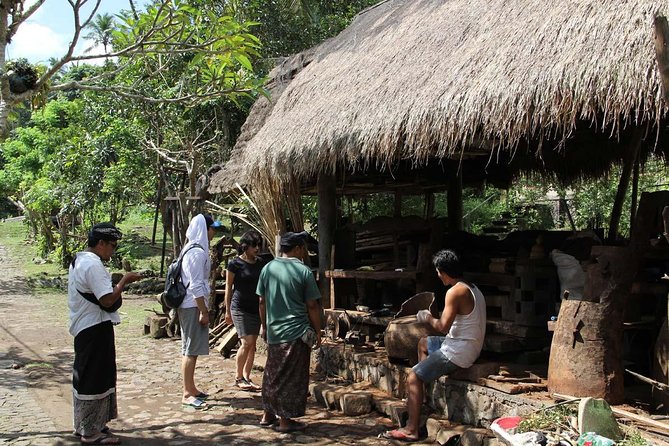 Best East Bali Tour - What the private driver adds