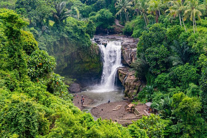 Best of Authentic Balinese Tour - Tegalalang Rice Terrace: Bali’s famous farming view
