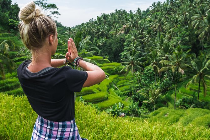 Best of Bali 3-Day Packaged Tour - Day three: royal gardens, highland lakes, and a famous sunset