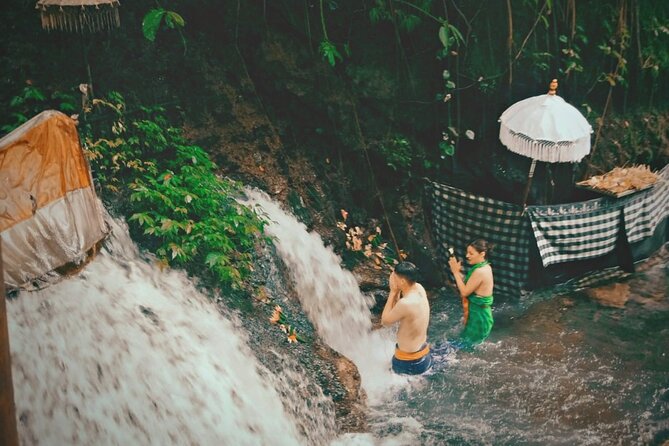 Best of Bali Ubud Tour and Surrounding - Goa Gajah, the Monkey Forest, and Manuaba Waterfall