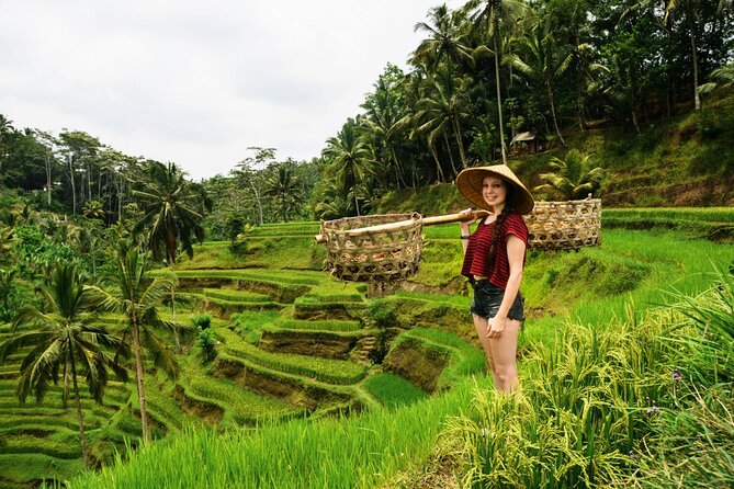 Best of Ubud 1-Day Private Tour - Why this private Ubud day works