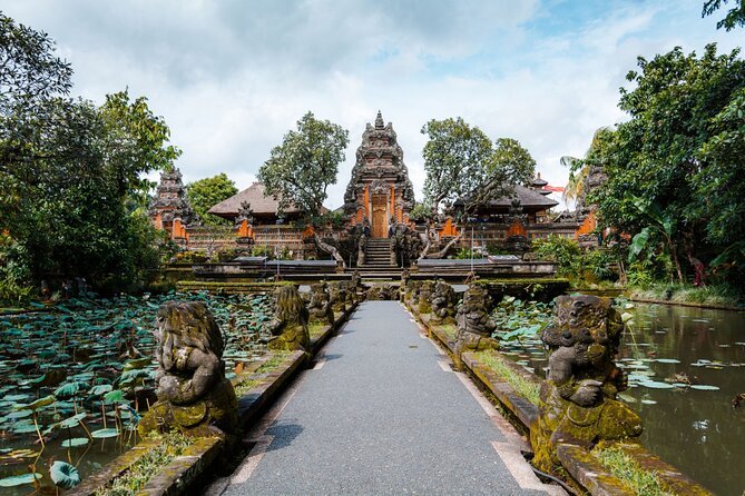 Best of Ubud 1-Day Private Tour - Tegalalang Rice Terrace and the best photo stop