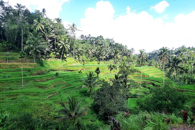 Best of Ubud - All Inclusive - Why this private Ubud route works