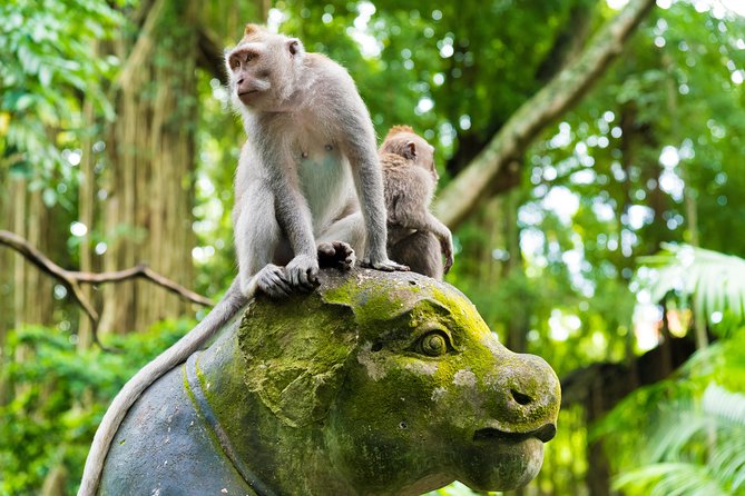 Best of Ubud Attractions: Private All-Inclusive Tour - Lunch at D Alas Warung, if selected