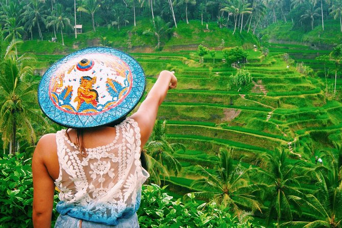 Best of Ubud Attractions: Private All-Inclusive Tour - Tegenungan Waterfall and the price of stairs
