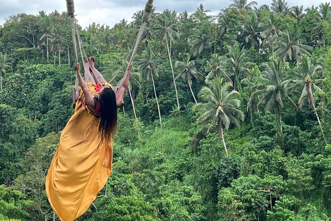Best of Ubud : Elephant Cave Temple, Monkey forest, Rice Terrace - What the private format really gives you