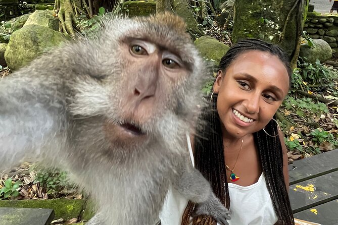 Best of Ubud : Elephant Cave Temple, Monkey forest, Rice Terrace - Meeting local art at Dewa Putu Toris