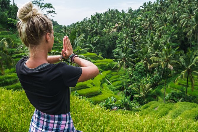 Best of Ubud Full-Day Tour with Jungle Swing - Traffic is the tour’s main weakness
