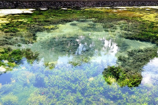 Best of Ubud - Kintamani Volcano View - Private Tour - Who will enjoy this route most?