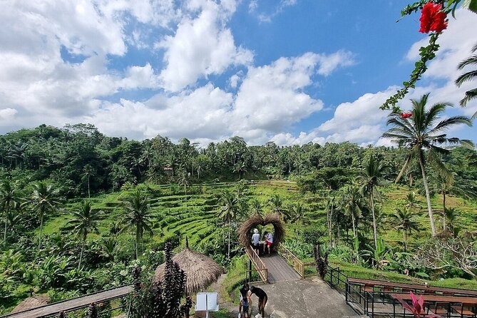 Best of Ubud Private Tour with Jungle Swing Experience - A busy day that captures several sides of Ubud