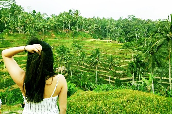 Best of Ubud Private Tour with Jungle Swing Experience - Tegalalang Rice Terrace: the most scenic walking stop