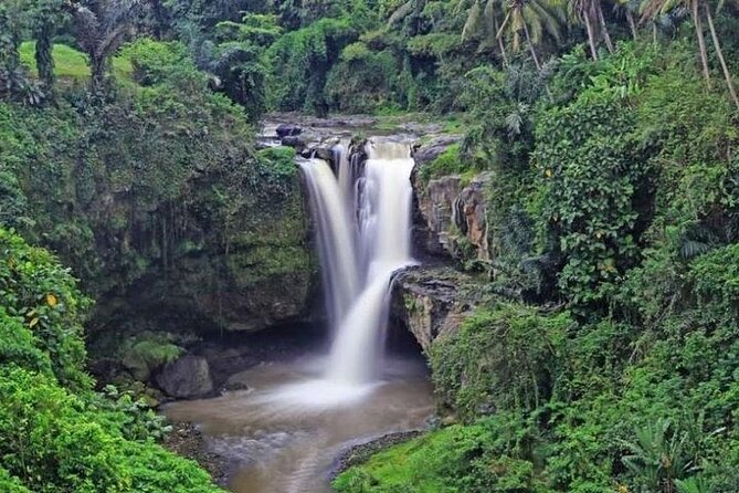 Best of Ubud Private Tour with Jungle Swing Experience - Ubud Palace: a short look at royal Ubud