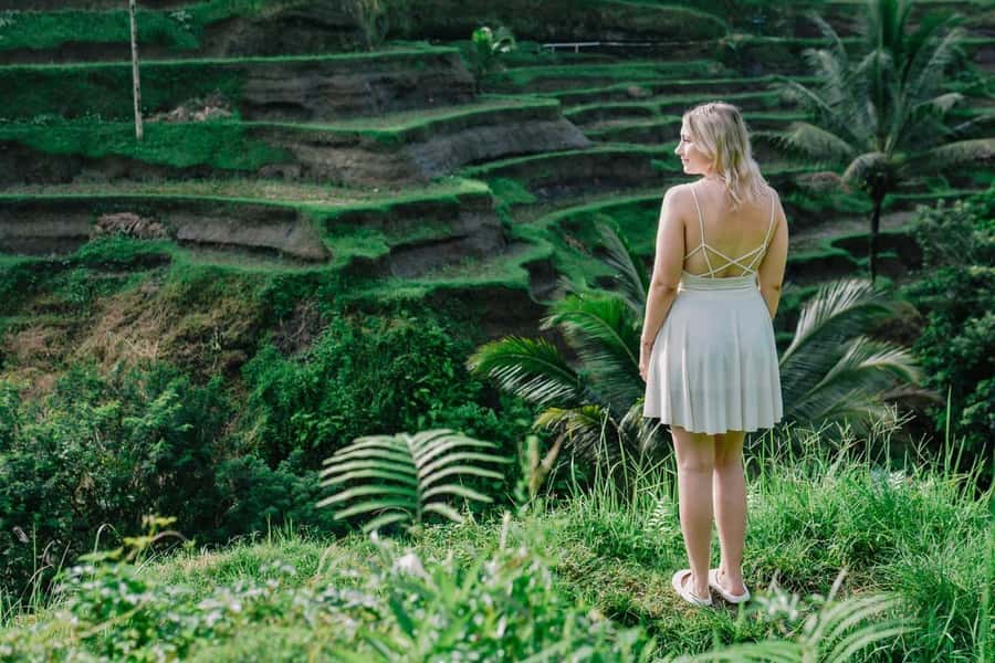 Best Of Ubud Purification Rice Terrace and Waterfall - What the guides add to the day