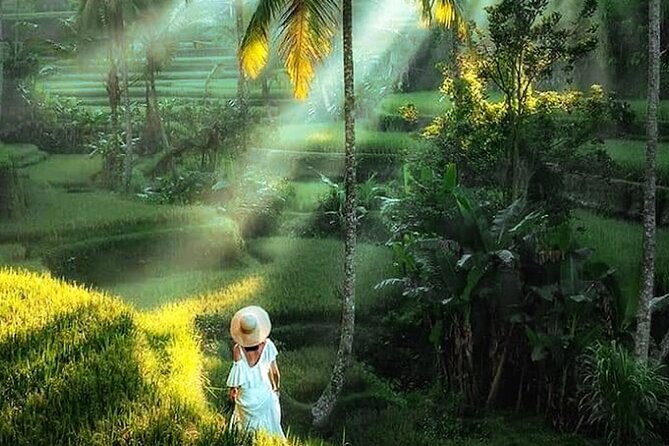 Best of Ubud Tour: Monkey Forest, Rice Terraces & Waterfall - Is $25 a good value?