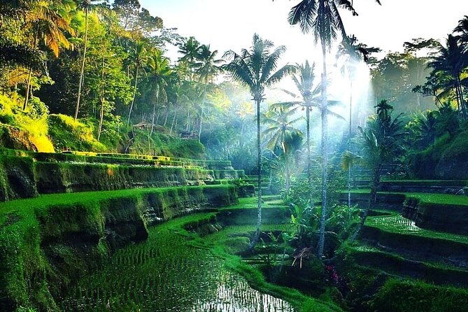 Best of Ubud - Ubud Tour Popular - All Inclusive - Tirta Empul, a living holy spring