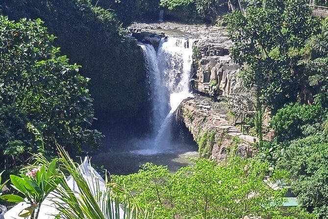 Best of Ubud - Ubud Tour Popular - All Inclusive - Tegenungan Waterfall for a change of pace