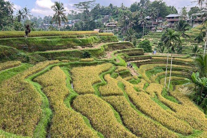 Best of Ubud - Ubud Tour Popular - All Inclusive - Puseh Batuan Temple and village care