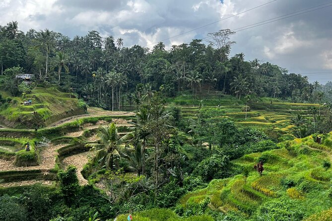 Best of Ubud - Ubud Tour Popular - All Inclusive - The guide can make or break the day