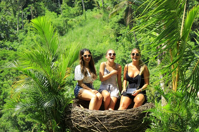 Best of Ubud Village Private Tour with Jungle Swing All Inclusive - What the private guide adds