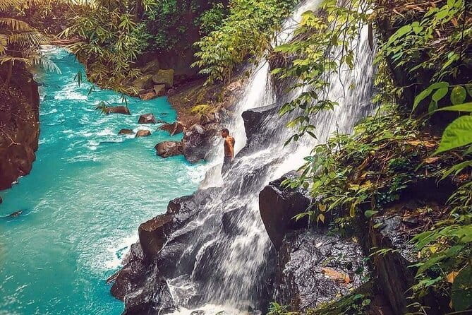 Best Of Ubud Waterfalls, Rice Terrace and Jungle Swing Tour - Tegalalang Rice Terrace: a change from water to farming