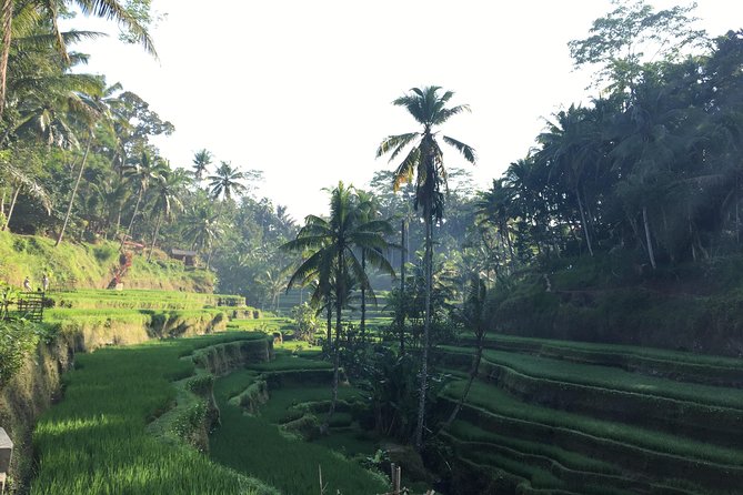 Best of Ubud Waterfalls, Tegalalang Rice Terrace and Swing Tour - Tibumana Waterfall: the quietest-feeling stop