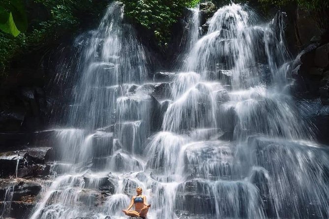 Best of Ubud Waterfalls, Tegalalang Rice Terrace and Swing Tour - Is $29 a good value?