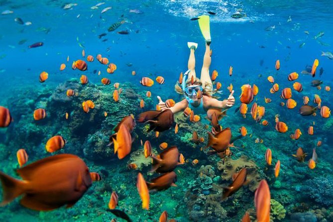 Best Snorkeling Trip at Blue Lagoon Bali - From Ubud to Padang Bai Fishing Village