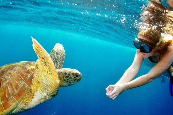 Best Snorkeling Trip at Blue Lagoon Bali - Tanjung Jepun and the question of water conditions