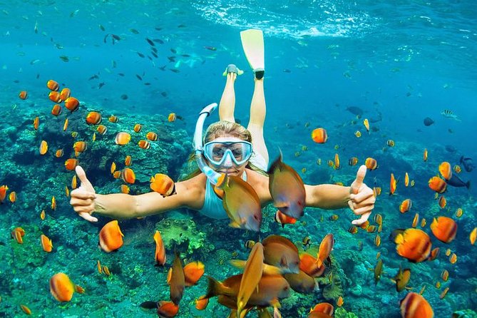 Best Snorkeling Trip at Blue Lagoon Bali - What the guide and crew add