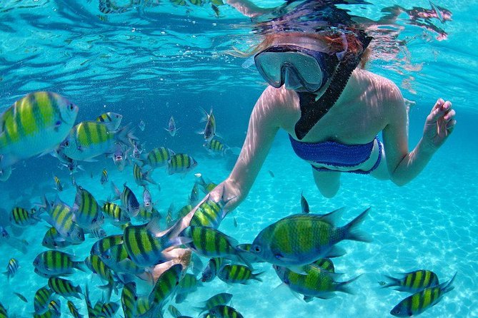 Best Snorkeling Trip at Blue Lagoon Bali - Lunch, showers, and the return to Ubud