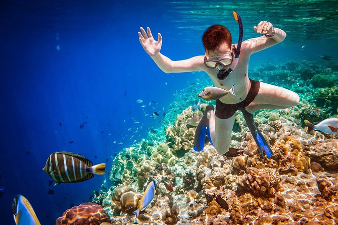 Best Snorkeling Trip at Blue Lagoon Bali - Is $39.39 a fair price?