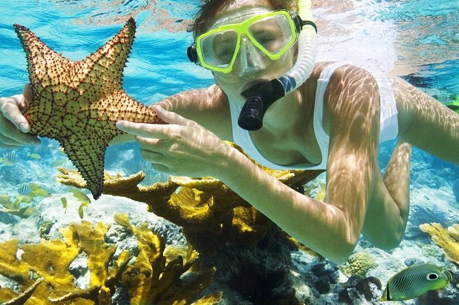 Best Snorkeling Trip at Blue Lagoon Bali - Blue Lagoon Beach: an easy first look at Bali’s reef life
