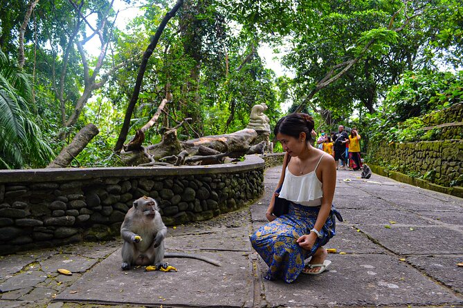 Best Ubud Highlights - Private Day Tour - Tegalalang’s rice terraces and the Subak system